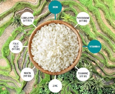 What is Fortification of Rice? Process, requirement, advantages and ...