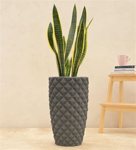 Diamond High Planter – Ugaoo