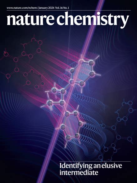 Nature Chemistry 的图像结果