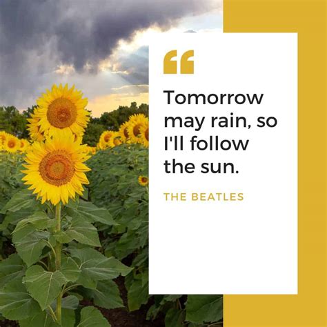 Sunflower Quotes | Embrace the Sunshine | Everyday Wanderer