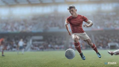 Sportsfield 的图像结果