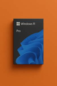 MICROSOFT Windows 11 Pro_AA006 1 User / 1 PC Lifetime Validity Retail ...