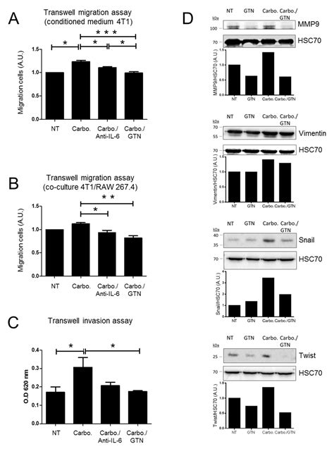 Nitric Oxide-Releasing Drug Glyceryl Trinitrate Targets JAK2/STAT3 ...
