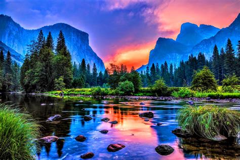 Image result for Colorado O2 Sensor Bank One