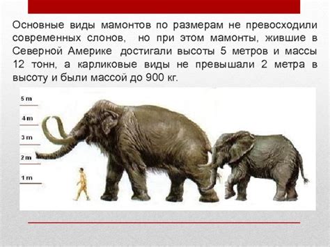 Презентация к уроку "Мамонты"