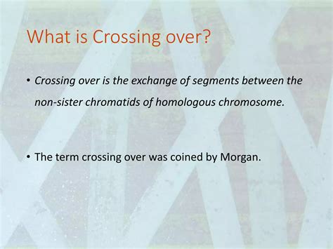 Meiosis, Crossing Over | PPTX