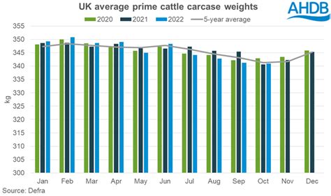 UK beef production increases in October | AHDB