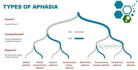 Image result for Aphasia Type Tree