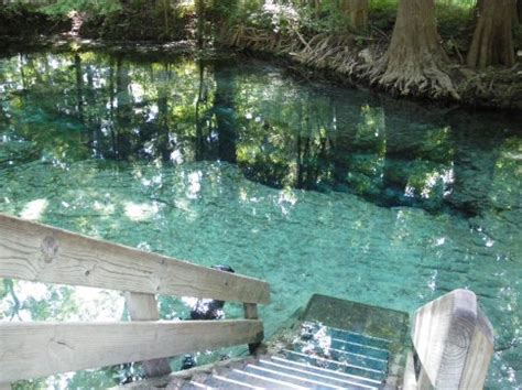 Image result for Little Devil Spring