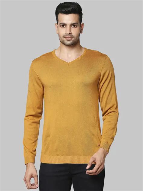 Men Yellow Regular Fit Solid Acrylic Full Sleeve V Neck Collar Sweater ...