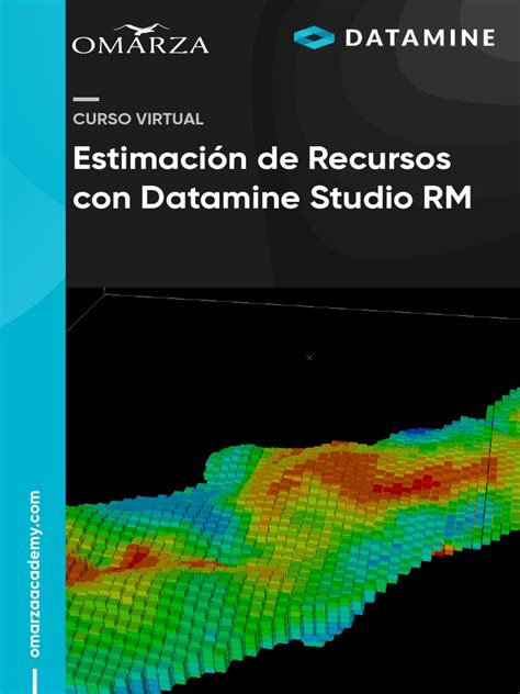 Image result for Datamine Studio RM Optimize