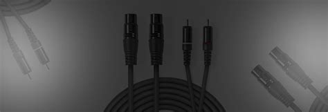 XLR vs RCA: Untangling the Great Audio Cable Debate | Ooberpad