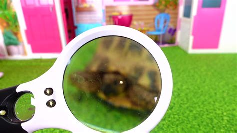 Fizzy Wizzy Toy Show 的图像结果