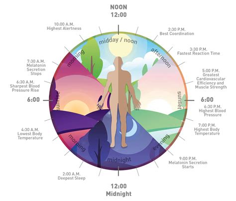 Tunable white lighting effects on circadian rhythm - Loxone Blog