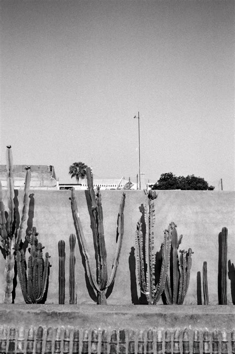 Travelling solo to Marrakech was the best decision I made in my ...