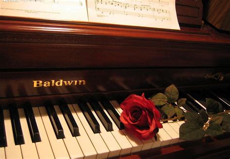 Piano on the street: Chopin: "Black keys", Etude, Op. 10, #5, （肖邦：黑键练习曲 ...