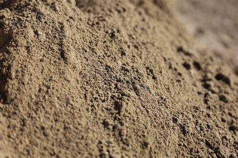 Image result for Fill Sand