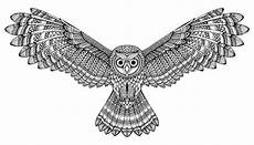 malvorlage fliegende eule gezeichnete fliegende eule des vektors schwarzweiss malvorlage fliegende eule gezeichnete fliegende eule des vektors schwarzweiss
