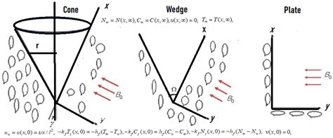 Comparative Analysis of a Cone, Wedge, and Plate Packed with Microbes ...