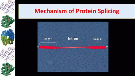 Most Common Post Translation Modification of Protein 的图像结果