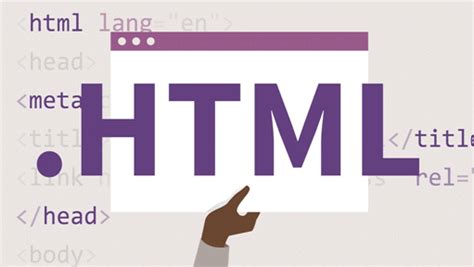 HTML Basics: Revision Notes - Class 10 PDF Download