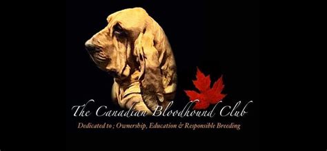 2024 Canadian Bloodhound Club National Specialty Show Weekend ...