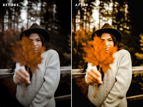 Autumn Lightroom Presets for Adobe Lightroom Mobile and Desktop, Fall ...