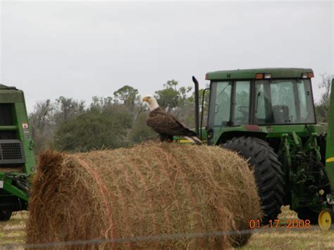 Gallery | Hardee County Property Appraiser