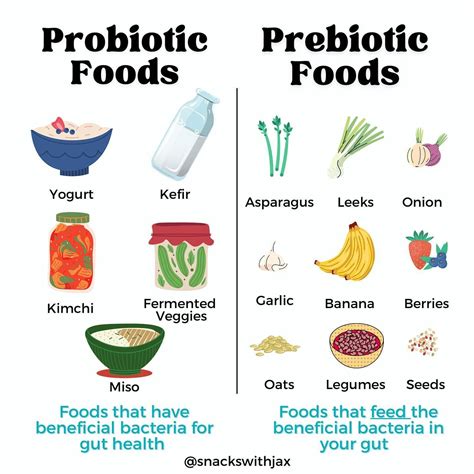 Not all bacteria is bad 🙃 in 2024 | Gut health recipes, Gut health diet, Prebiotic foods