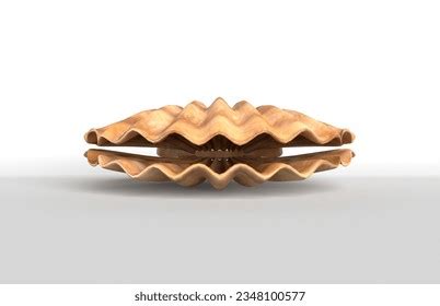 Image result for 3D Model with Support Shell