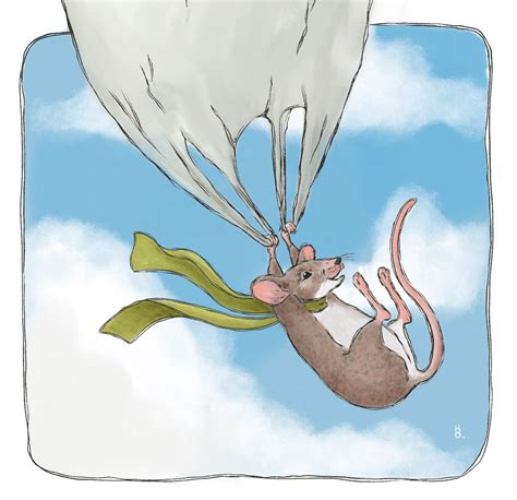 Flying Mouse 的图像结果