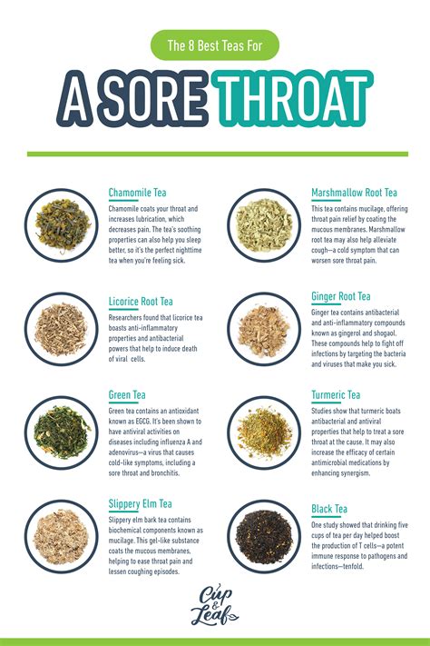 The 8 Best Teas For A Sore Throat - Cup & Leaf