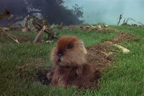 Image result for Caddyshack Movie Clips