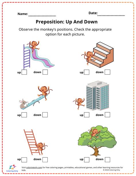 Preposition: Up And Down Free Printable Worksheet