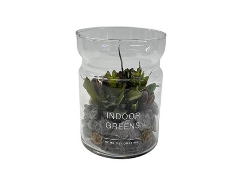 INDOOR GARDEN ARRANGE IN GLASS JAR CAU197 DT — NITORI INDIA