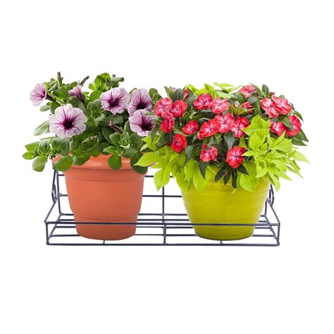 MY-RV DECOR 24075 Classic Wall Mounted Plant Planter Pot Stand Bracket ...