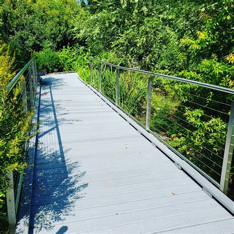 Cone Health - Swaim Ornamental