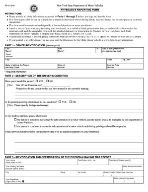 Ds6 Form - Fill and Sign Printable Template Online