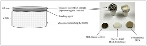 Tribological Behavior of TiO2 PEEK Composite and Stainless Steel for ...