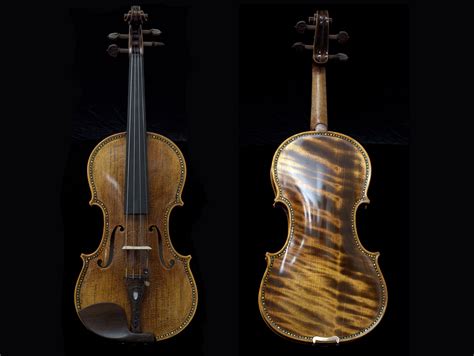 A guide to the 8 different types of violin – Artofit