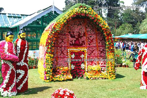 Flower Show : Bangalore flower show | Lalbagh flower show | Ooty flower ...