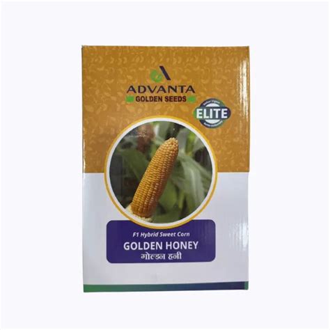 Buy Advanta Golden Honey Sweet Corn Seeds – TripleSweet Hybrid for High ...