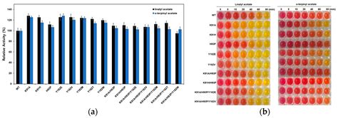 Enhancing Paenibacillus sp. Cold-Active Acetyl Xylan Esterase Activity ...