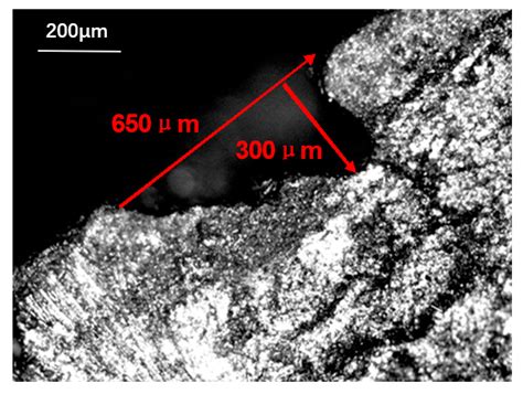 Study on Microstructure Characteristics of Axially Braided Carbon ...