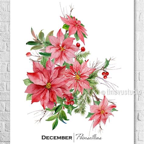 December birth month flower - watercolor painting printable | Flower ...