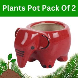 METIER Planter Pot, Flower Pots, Indoor Plants Container, Ceramic ...