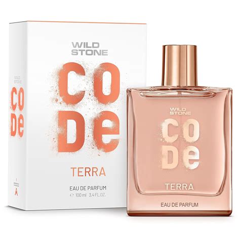 Buy Wild Stone CODE Terra Eau De Parfum for Men, 100ml|Luxury Long ...