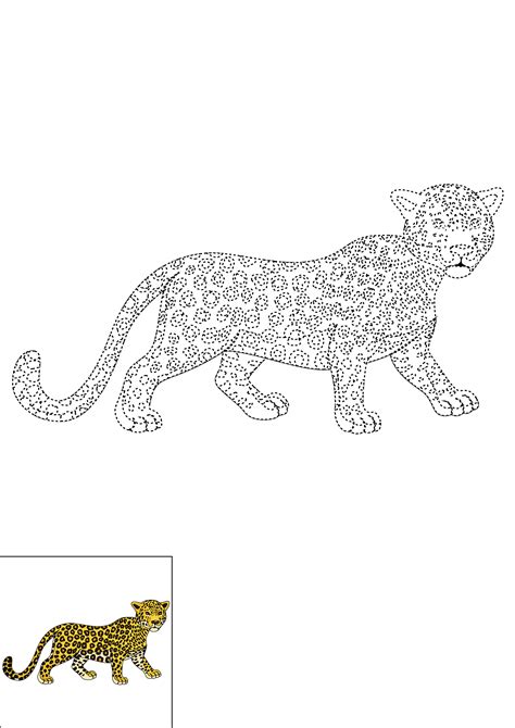 How to Draw A Leopard Step by Step
