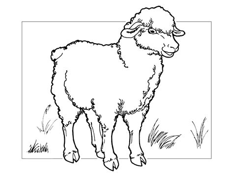 Sheep Coloring Pages - Printable Coloring Pages. FREE