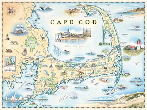 Amazon.com: Cape Cod Poster - Hand Drawn Map of Cape Cod - Xplorer Maps ...